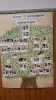 Drzewo genealogiczne - skąd przybywamy, jacy jesteśmy?-10