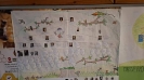 Drzewo genealogiczne - skąd przybywamy, jacy jesteśmy?-4