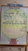 Drzewo genealogiczne - skąd przybywamy, jacy jesteśmy?-5