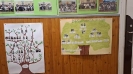 Drzewo genealogiczne - skąd przybywamy, jacy jesteśmy?-8