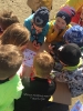 Festiwal Zdrowia-10