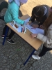 Festiwal Zdrowia-8