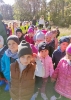 Leśne wędrówki przedszkolaków-5
