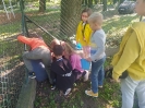 Postawa eko a styl życia-8