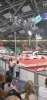 Wyjazd na zawody lekkoatletyczne-10