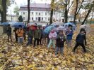 b_150_100_16777215_0_0_images_joomgallery_originals_padziernik_w_grupie_myszek_1283_padziernik_w_grupie_myszek_8_20241107_1343872397.jpg