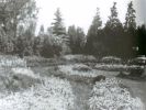 b_150_100_16777215_0_0_images_stories_palacdawny_palac8b.jpg
