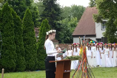 Genetyczna kopia dębu rogalińskiego posadzona w Czaczu