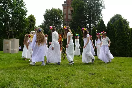 Genetyczna kopia dębu rogalińskiego posadzona w Czaczu