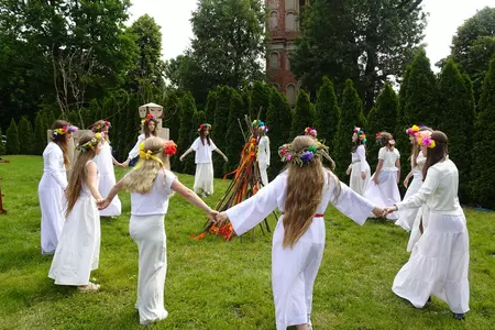 Genetyczna kopia dębu rogalińskiego posadzona w Czaczu
