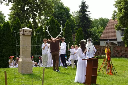 Genetyczna kopia dębu rogalińskiego posadzona w Czaczu