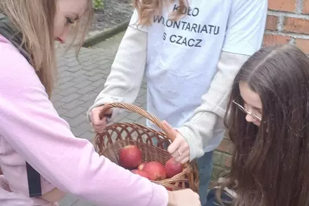 Akcja 