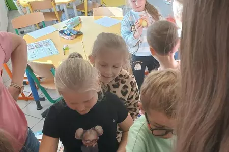 Akcja 