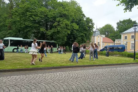 Zawodowa Gra Parkowa