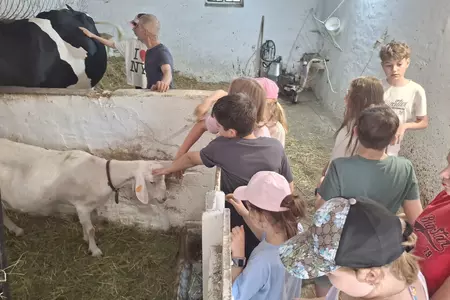 W STAREJ CHACIE U KOWOLA