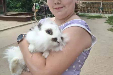W STAREJ CHACIE U KOWOLA