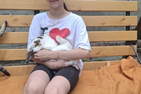 W STAREJ CHACIE U KOWOLA